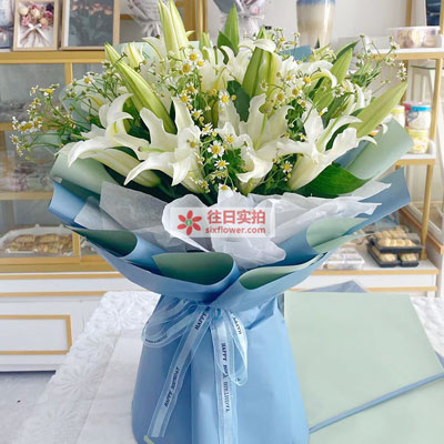 宿迁8支白色多头百合洋甘菊，互倾的思念